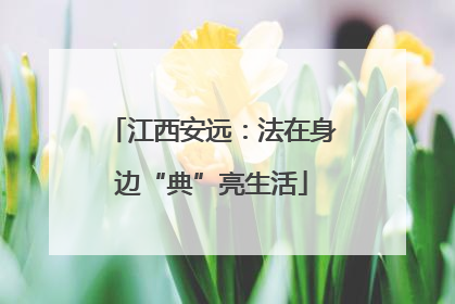 江西安远：法在身边“典”亮生活