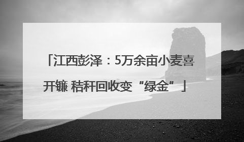 江西彭泽：5万余亩小麦喜开镰 秸秆回收变“绿金”