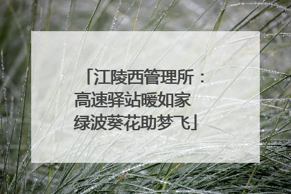 江陵西管理所：高速驿站暖如家 绿波葵花助梦飞