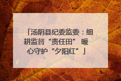 汤阴县纪委监委：细耕监督“责任田” 暖心守护“夕阳红”
