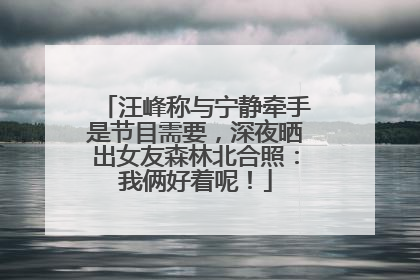 汪峰称与宁静牵手是节目需要，深夜晒出女友森林北合照：我俩好着呢！