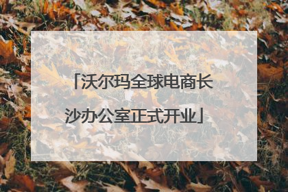 沃尔玛全球电商长沙办公室正式开业
