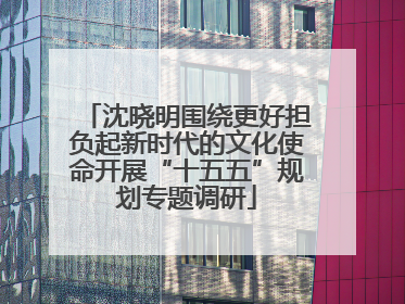 沈晓明围绕更好担负起新时代的文化使命开展“十五五”规划专题调研
