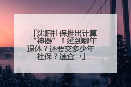 沈阳社保推出计算“神器”！延到哪年退休？还要交多少年社保？速查→