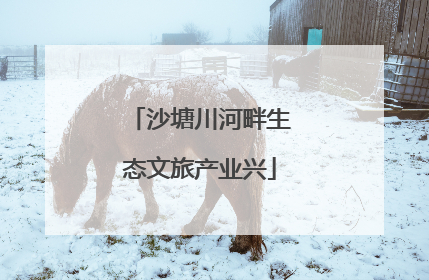 沙塘川河畔生态文旅产业兴