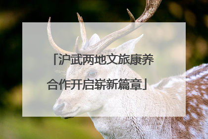沪武两地文旅康养合作开启崭新篇章
