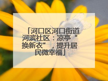 河口区河口街道河滨社区：凉亭“换新衣”，提升居民微幸福