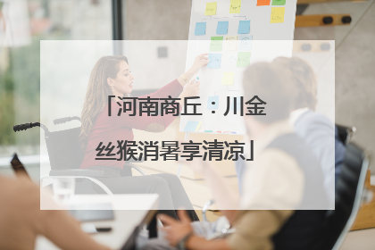 河南商丘：川金丝猴消暑享清凉