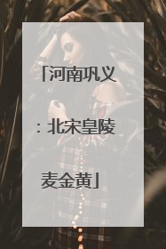 河南巩义：北宋皇陵麦金黄