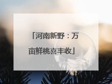 河南新野：万亩鲜桃喜丰收