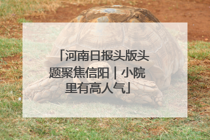 河南日报头版头题聚焦信阳｜小院里有高人气