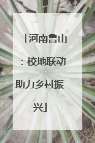 河南鲁山：校地联动助力乡村振兴