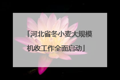 河北省冬小麦大规模机收工作全面启动