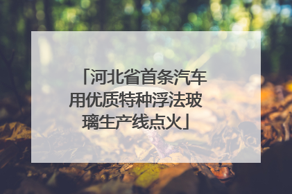 河北省首条汽车用优质特种浮法玻璃生产线点火