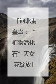 河北秦皇岛：“植物活化石”天女花绽放