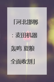 河北邯郸：麦田机器轰鸣 夏粮全面收割