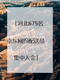 河北675名京东网约配送员集中入会