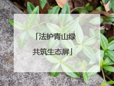 法护青山绿 共筑生态屏