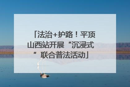 法治+护路！平顶山西站开展“沉浸式”联合普法活动
