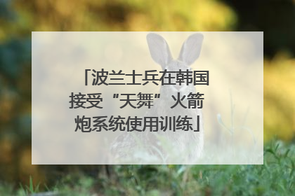 波兰士兵在韩国接受“天舞”火箭炮系统使用训练
