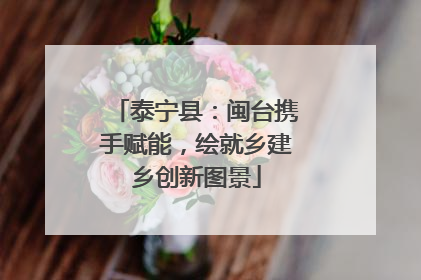 泰宁县：闽台携手赋能，绘就乡建乡创新图景