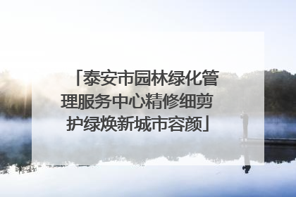 泰安市园林绿化管理服务中心精修细剪护绿焕新城市容颜