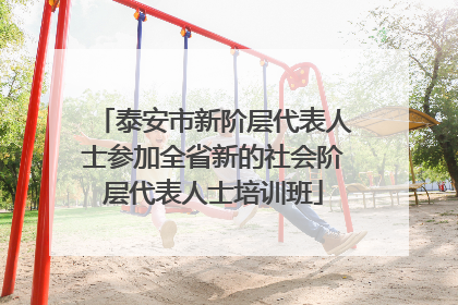 泰安市新阶层代表人士参加全省新的社会阶层代表人士培训班