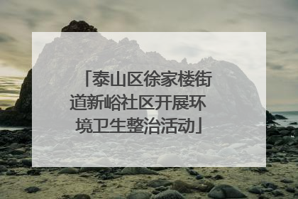 泰山区徐家楼街道新峪社区开展环境卫生整治活动