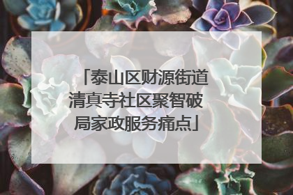 泰山区财源街道清真寺社区聚智破局家政服务痛点