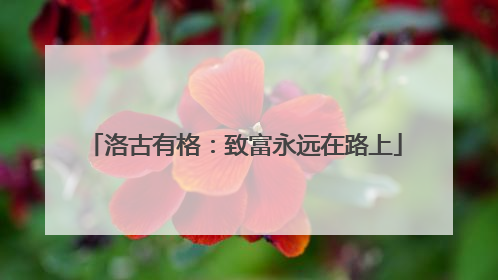 洛古有格：致富永远在路上