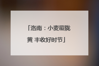 洛南：小麦覆陇黄 丰收好时节