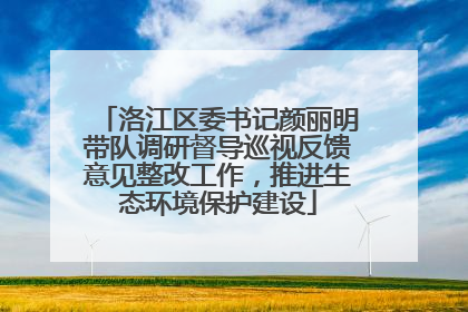洛江区委书记颜丽明带队调研督导巡视反馈意见整改工作，推进生态环境保护建设