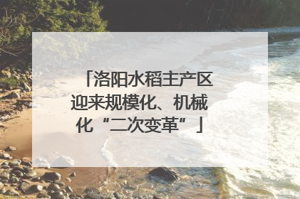 洛阳水稻主产区迎来规模化、机械化“二次变革”