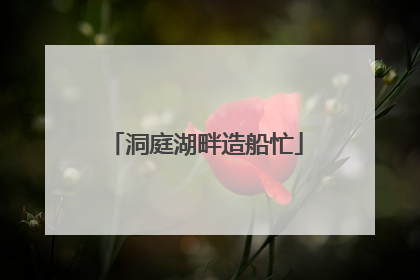 洞庭湖畔造船忙