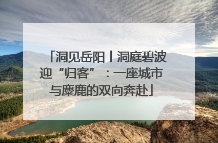 洞见岳阳丨洞庭碧波迎“归客”：一座城市与麋鹿的双向奔赴