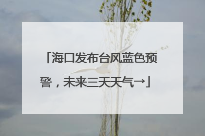海口发布台风蓝色预警，未来三天天气→
