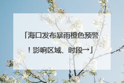 海口发布暴雨橙色预警！影响区域、时段→