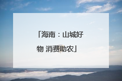海南：山城好物 消费助农