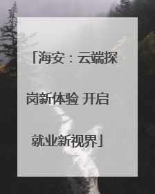 海安：云端探岗新体验 开启就业新视界