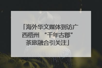 海外华文媒体到访广西梧州 “千年古郡”茶旅融合引关注