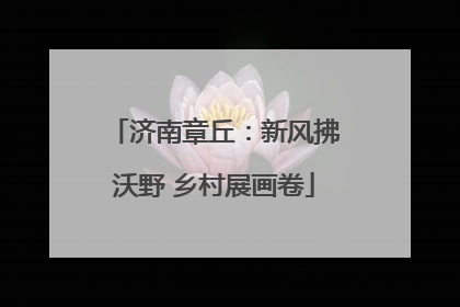 济南章丘：新风拂沃野 乡村展画卷