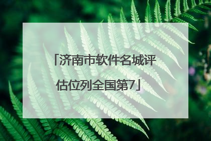 济南市软件名城评估位列全国第7