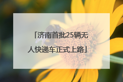 济南首批25辆无人快递车正式上路
