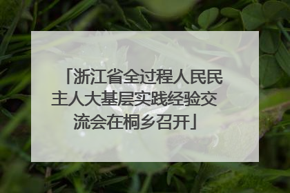 浙江省全过程人民民主人大基层实践经验交流会在桐乡召开