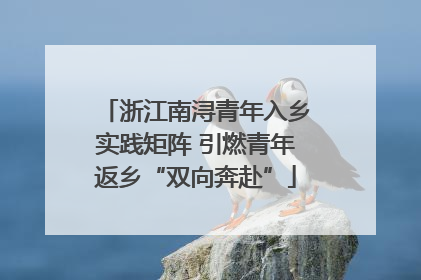 浙江南浔青年入乡实践矩阵 引燃青年返乡“双向奔赴”