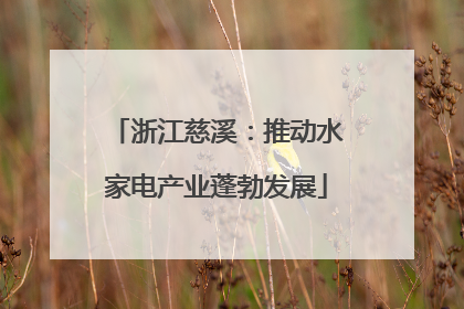 浙江慈溪：推动水家电产业蓬勃发展