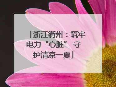 浙江衢州：筑牢电力“心脏” 守护清凉一夏