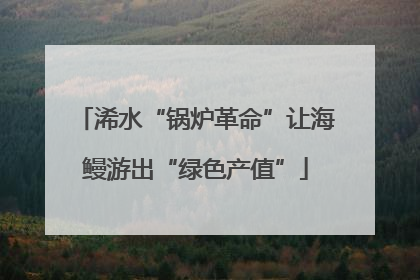 浠水“锅炉革命”让海鳗游出“绿色产值”