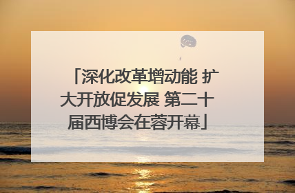 深化改革增动能 扩大开放促发展 第二十届西博会在蓉开幕