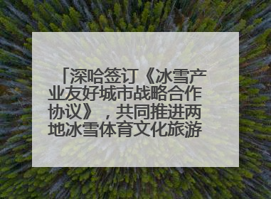 深哈签订《冰雪产业友好城市战略合作协议》，共同推进两地冰雪体育文化旅游高质量发展